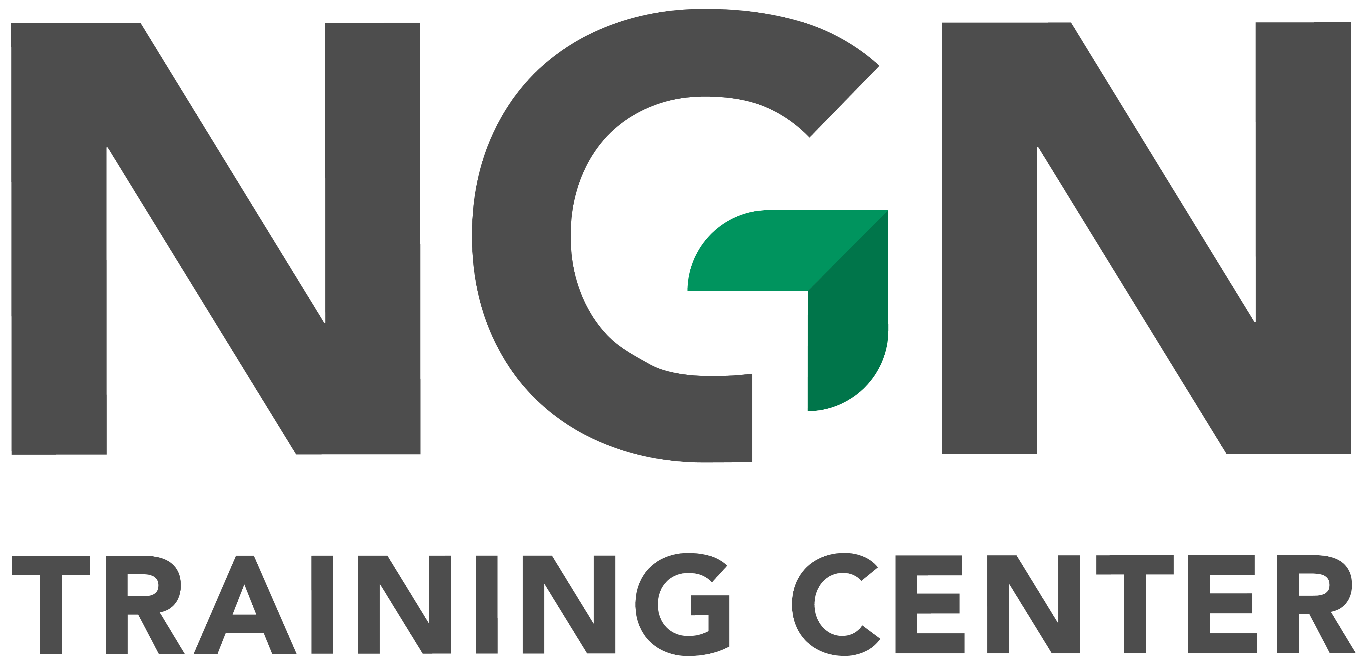 New NGN logo_TC - Color on Light Bg